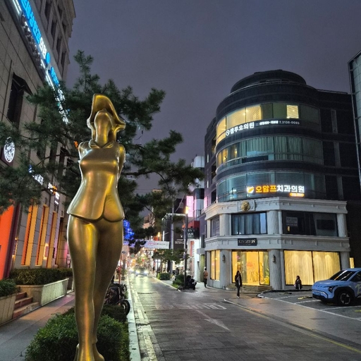 피드 이미지