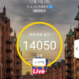 피드에 업로드 된 이미지