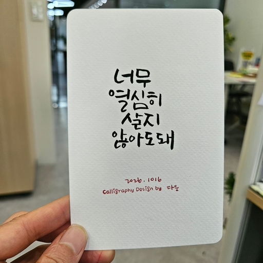 피드 이미지