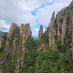 피드에 업로드 된 이미지