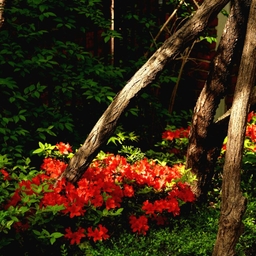 피드에 업로드 된 이미지