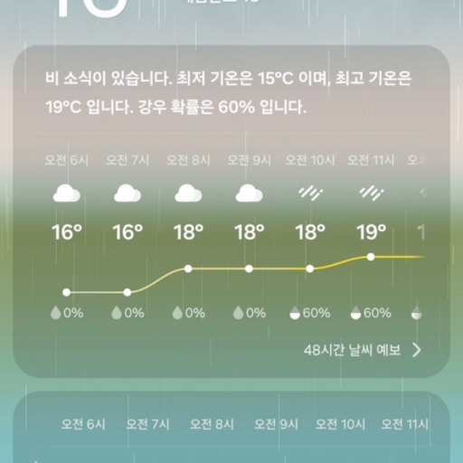 피드 이미지