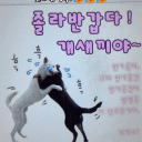 유저 프로필