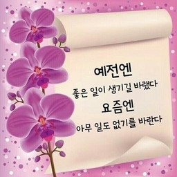 피드에 업로드 된 이미지