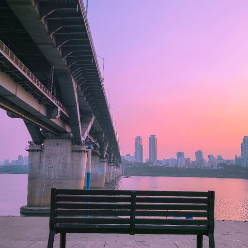 피드 이미지