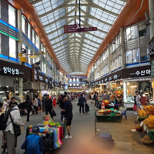 피드 이미지