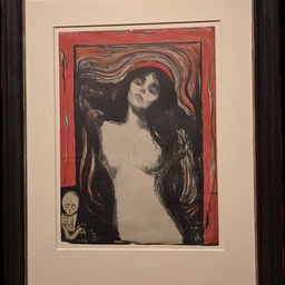 피드에 업로드 된 이미지