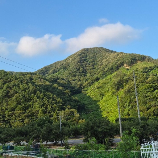 피드 이미지