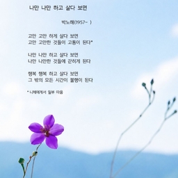 피드에 업로드 된 이미지