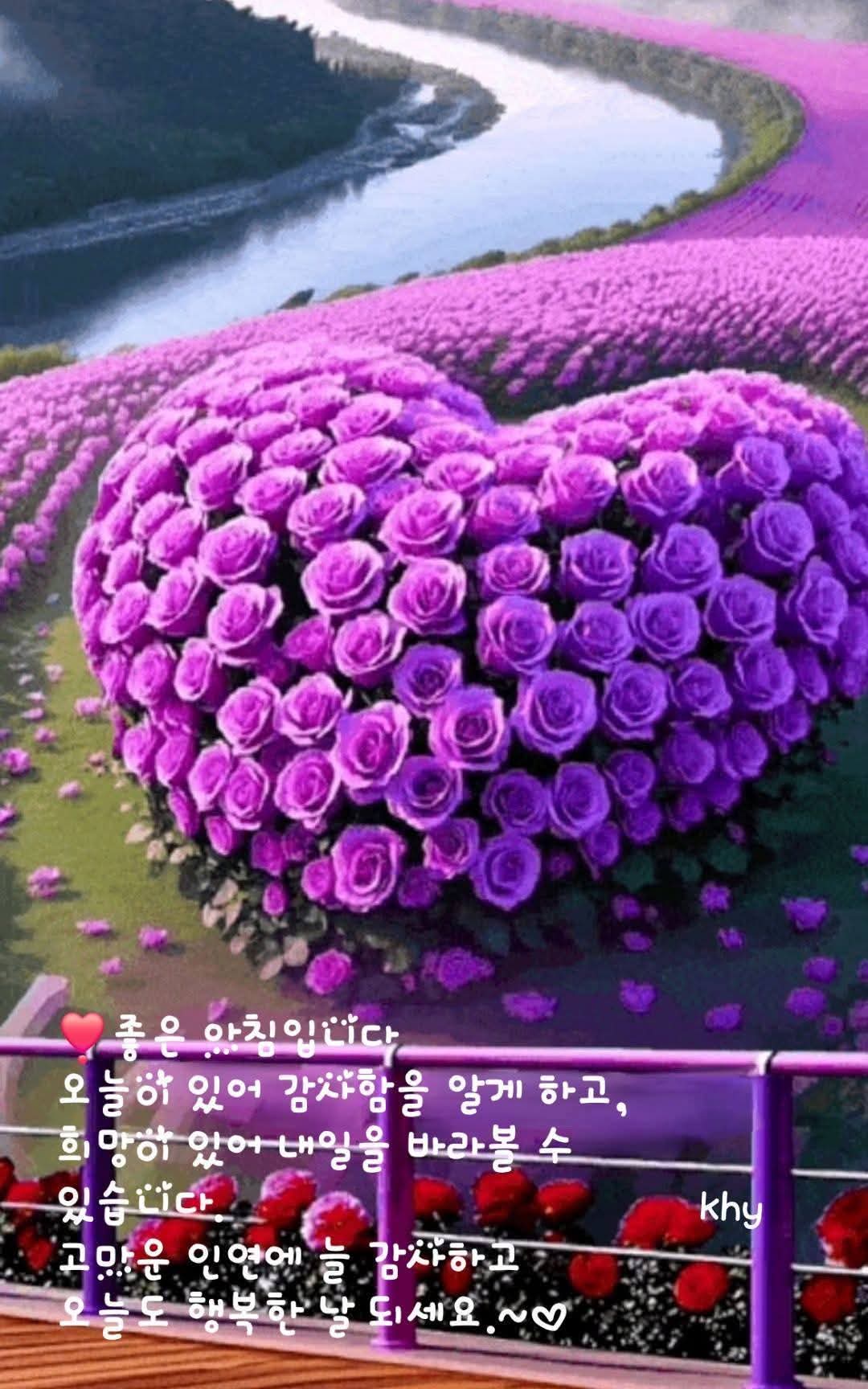 피드에 업로드 된 이미지