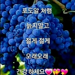 피드에 업로드 된 이미지