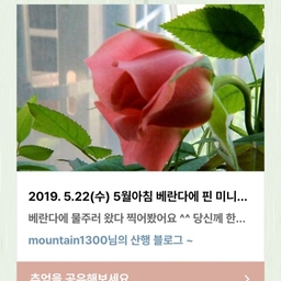 피드에 업로드 된 이미지