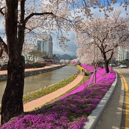 피드에 업로드 된 이미지