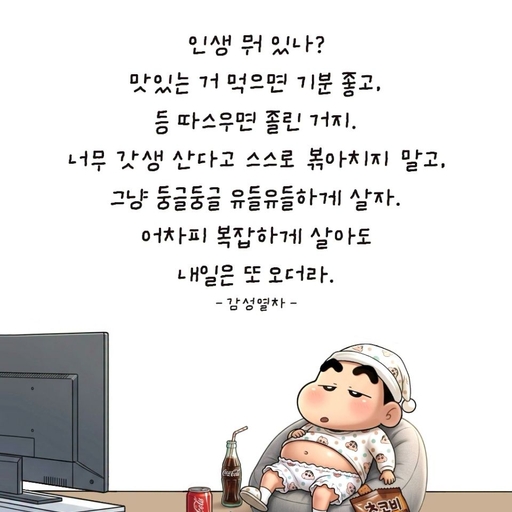 피드 이미지