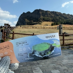 피드에 업로드 된 이미지