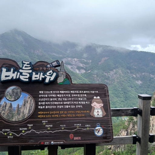 피드 이미지