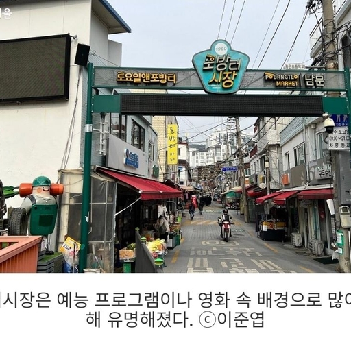 피드 이미지