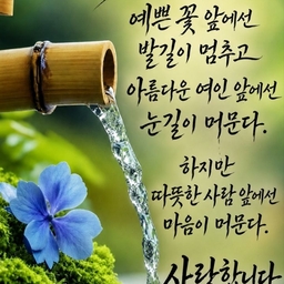 피드에 업로드 된 이미지