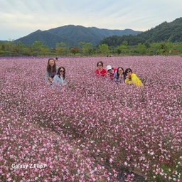 피드에 업로드 된 이미지