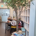 피드 작성자 프로필