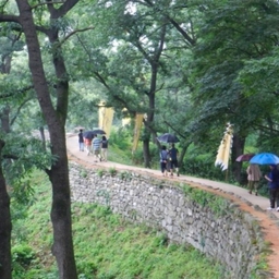 피드에 업로드 된 이미지
