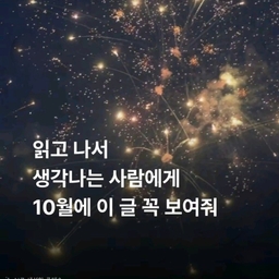 피드에 업로드 된 이미지