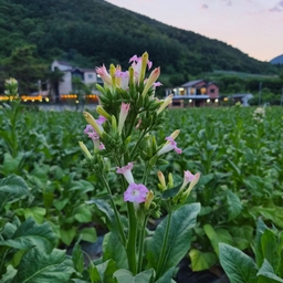 피드에 업로드 된 이미지