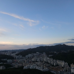 피드에 업로드 된 이미지