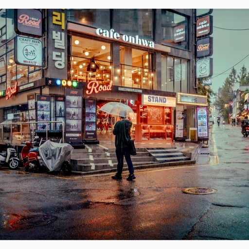 피드 이미지
