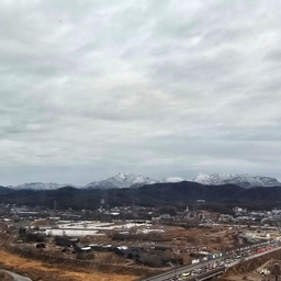피드에 업로드 된 이미지