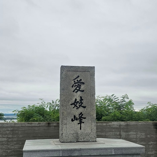 피드 이미지