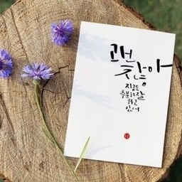 피드에 업로드 된 이미지