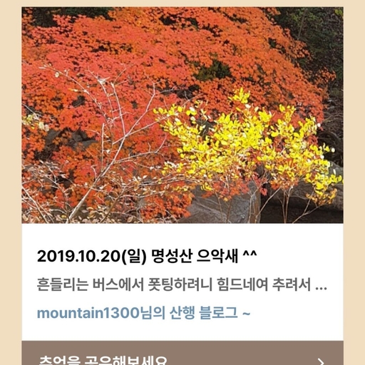 피드 이미지
