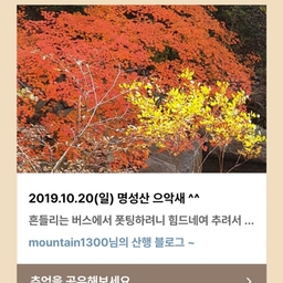 피드에 업로드 된 이미지