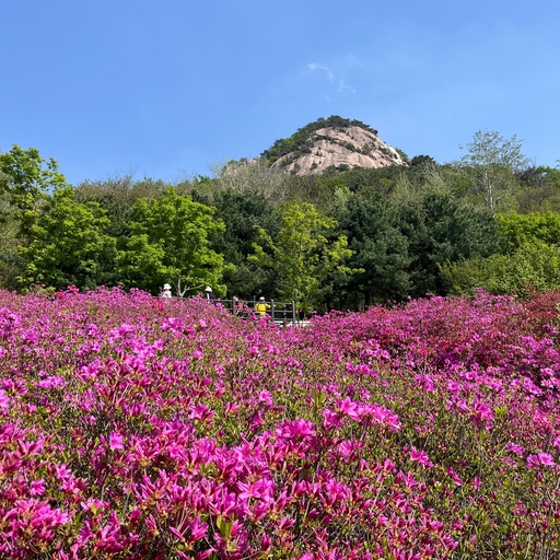 피드 이미지