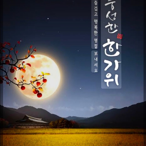 피드 이미지