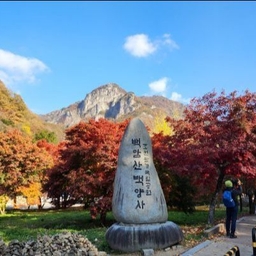 피드에 업로드 된 이미지