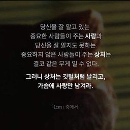 피드에 업로드 된 이미지