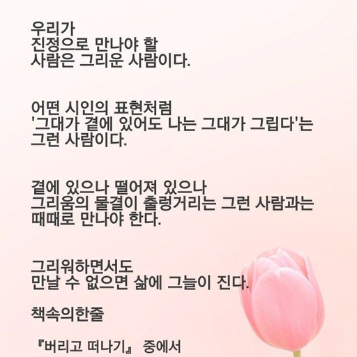 피드 이미지