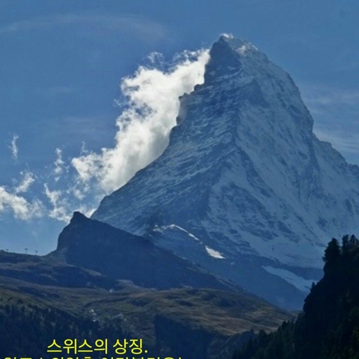 피드 이미지