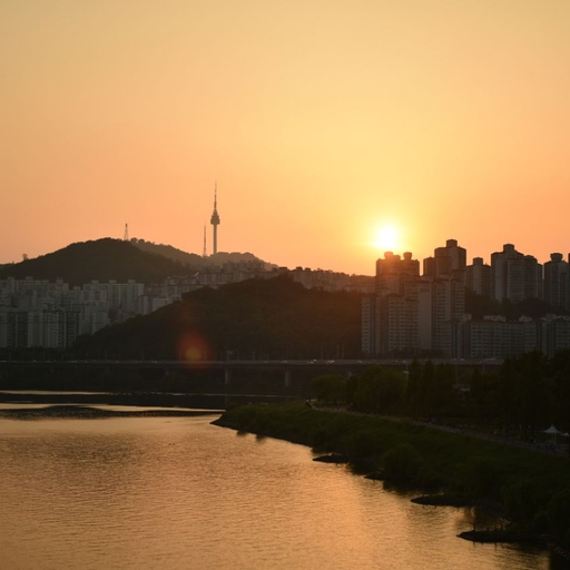 피드 이미지