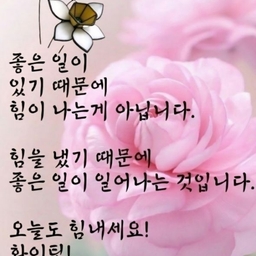 피드에 업로드 된 이미지