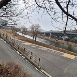 피드에 업로드 된 이미지