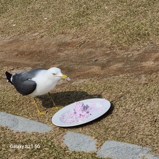 피드 이미지