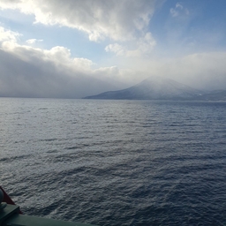 피드에 업로드 된 이미지