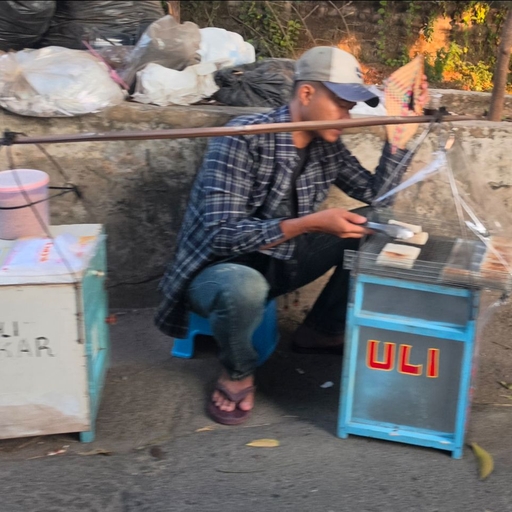 피드 이미지