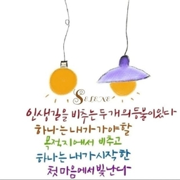 피드에 업로드 된 이미지