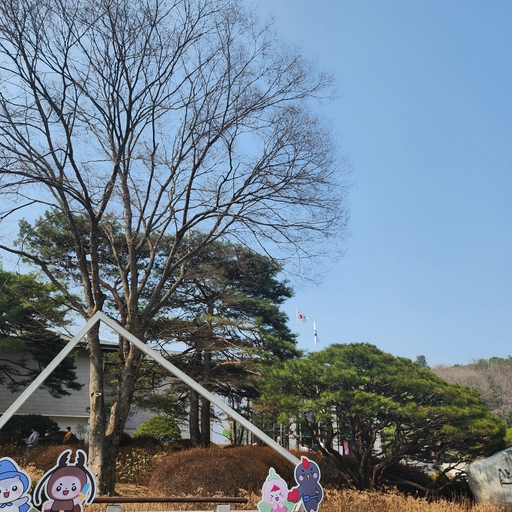 피드 이미지