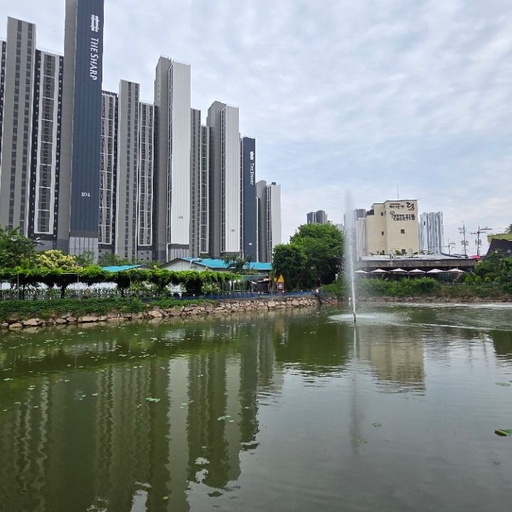 피드 이미지