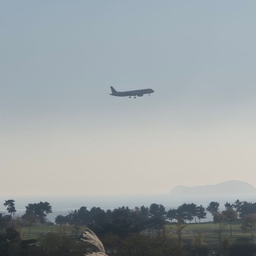 ํผ๋์ ์
๋ก๋ ๋ ์ด๋ฏธ์ง